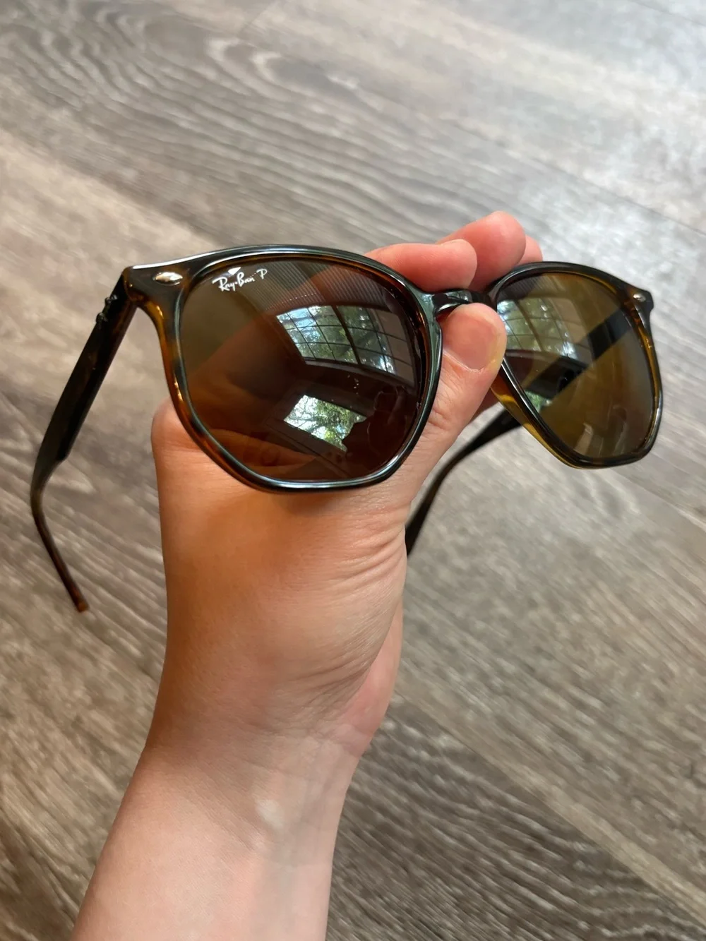 Ray-Ban Men’s Brown Frame Sunglasses